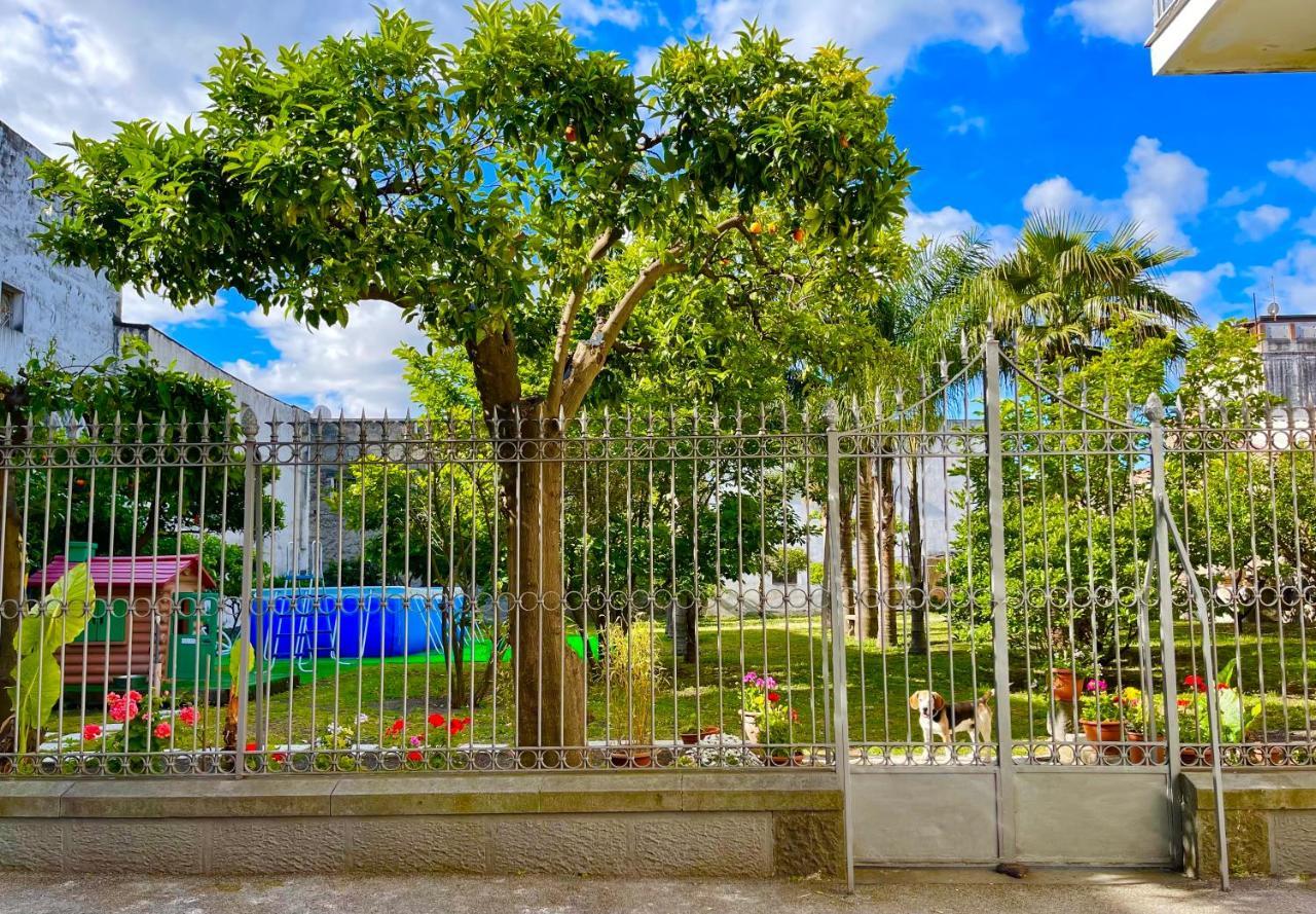 테르지뇨 Giardino Del Vesuvio, Pompei 빌라 외부 사진