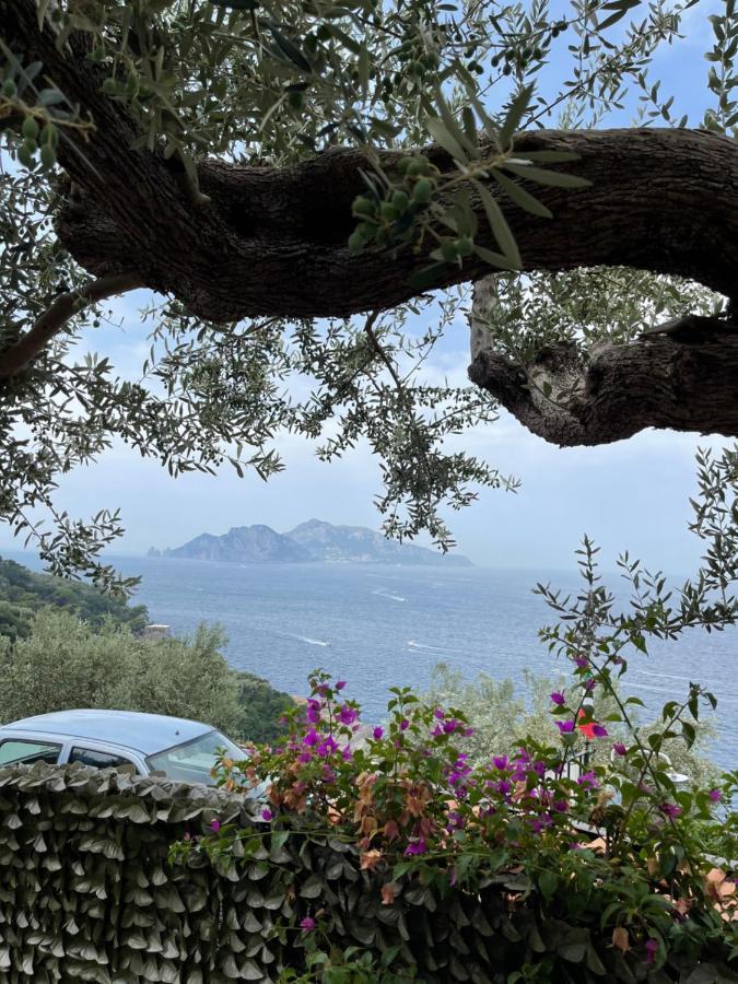 테르지뇨 Giardino Del Vesuvio, Pompei 빌라 외부 사진